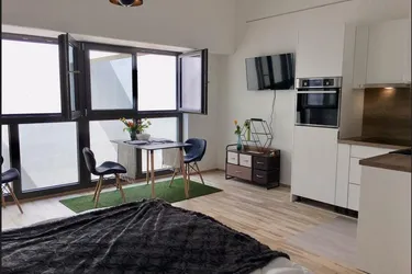 1 Zimmer Wohnung mit Loftflair