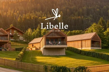 Aufwachen am Weißensee – Chalet mit 101,99 m² Wohnfläche, 195 m² Garten &amp; eigenem Seezugang