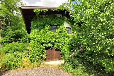 Im Herzen des Mittelburgenlandes: Idyllische Weingartenhütte + Weingarten in Top-Lage + Seltene Gelegenheit
