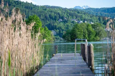 ***** Exklusive Wörtherseeliegenschaft am Nordufer *****