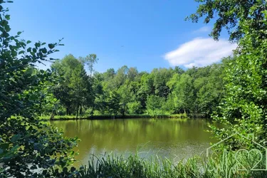 Naturparadies mit Fischteich, Fischerhütte und Wasserrechten - nahe Stadtschlaining