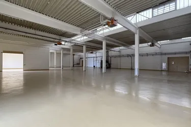 Produktions- &amp; Lagerhalle | 3.057 m² | Lebensmitteltauglich | 5 t/m² Bodenbelastung | St. Pölten / S33