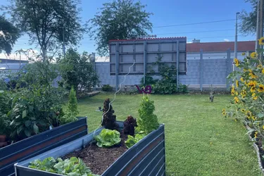 1210 Wien, 348 m² Eigengrund mit älteren Abrisshaus!