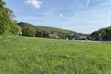 Großes Grundstück 4.267m² in Weissenbach/Hinterbrühl mit vielen Möglichkeiten!