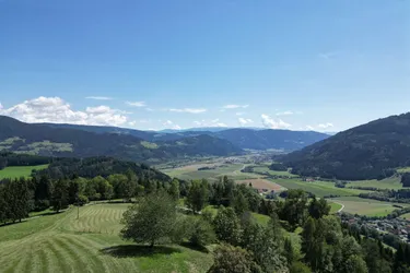 Landwirtschaft mit Stallgebäude und Entwicklungspotenzial in Alleinlage