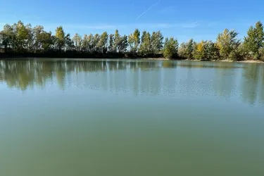 Zu verkaufen in Vitnyéd einem wunderschönen 5,1 Hektar großen Gelände mit einem 1,9 Hektar großen Teich