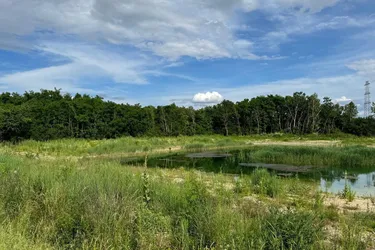 In Répcelak steht ein 20.904 m2 großes Grundstück mit einem 7.000 m2 großen See zum Verkauf oder zur Miete