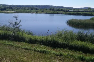 In Zalaegerszeg ist ein 22 Hektar großes Entwicklungsgebiet zum Verkauf