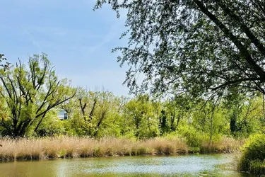 Wunderschöner Eigengrund - direkt am Mühlwasser - ganzjährig wohnen - 1220 Wien