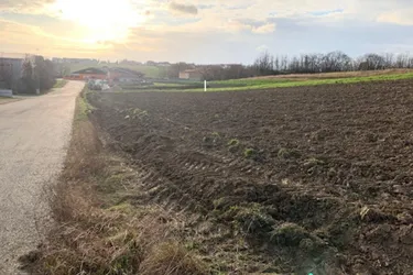 Betriebsgrundstück in Top – Lage an der A5 - 2191 Gaweinstal