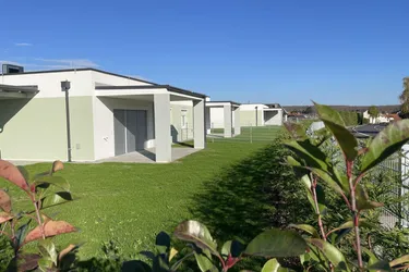 WEINIDYLLE SÜDBURGENLAND: BUNGALOWS ZUM MIETKAUF PROVISIONSFREI MIT EINLAGERUNGSRÄUMEN