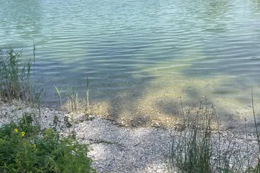 Wohnen am Waldsee in Neuaigen - Charmantes Haus in ruhiger Naturlage mit Seezugang