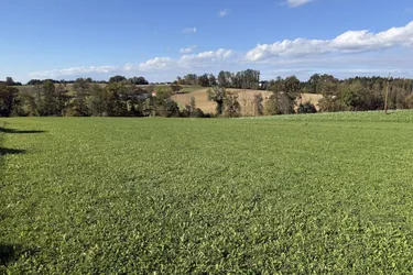 Schönes Grundstück in Pergkirchen