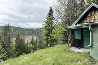 Einzigartiges Waldgrundstück mit Berghütte und Panormablick - Puchberg am Schneeberg 