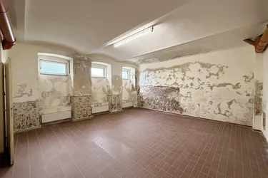 Greinergasse - 30,00m2 Lager im Souterrain zu vermieten