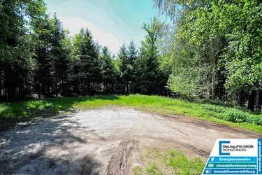 Bestens bewirtschafteter Wald (ca. 2,56 ha) mit Top-Zufahrt &amp; Holzlagerplatz