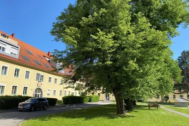 Großzügige 4 Zimmerwohnung direkt neben der JKU!WG geeignet!