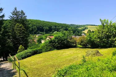 Baugrundstück mit Garagenzufahrt in Grünlage Pressbaum