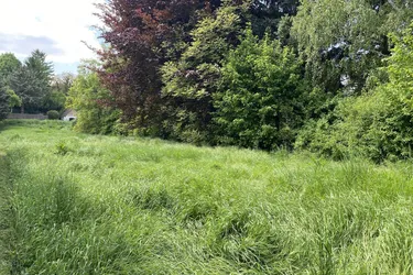 Baugrundstücke zu verkaufen, zentral, eben, Ruhelage, naturnah