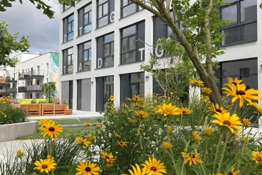 Gewerbeflächen für Produktion auf allen Ebenen im Gewerbehof Seestadt - Top 16