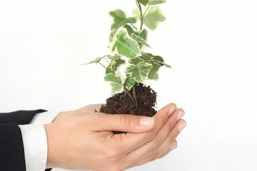 Exklusive Investments mit hoher Rendite. - Über 10% Netto-Rendite p.a.!