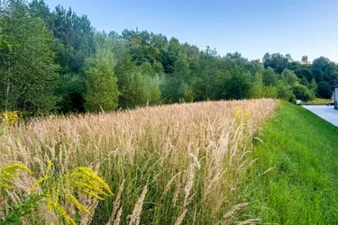 Gewerbestandort mit Potenzial – ca. 4.973 m² in Mürzzuschlag/Hönigsberg-Ost.