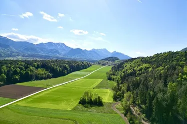 Landwirtschaftliche Liegenschaft mit Stallung, Nebengebäude, Wald und Bauland auf ca. 45.700 m²