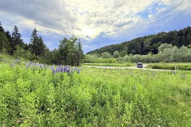 Ideales Grundstück für Ihr Wohnprojekt in der Gemeinde Velden am Wörthersee