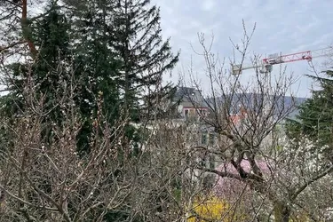 2-Zimmer Altbauwohnung mit Balkon und Gartennutzung