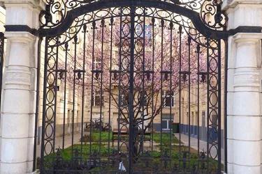 Sanierungshit in wunderschönem Zinshaus in 1190 Wien