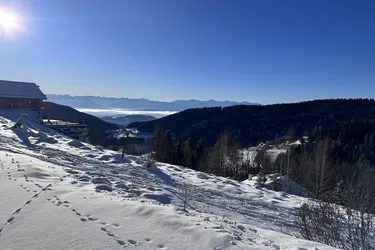 "Sonnenverwöhntes Grundstück in Traumlage und vielseitigem Potenzial!