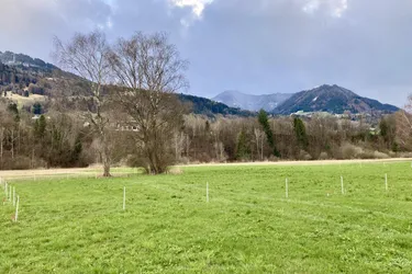 Nenzing Heimat: 600 m2 Sonnentraum mit Weitblick – Ihr Baugrundstück in Nenzing mit unverbaubarer Aussicht