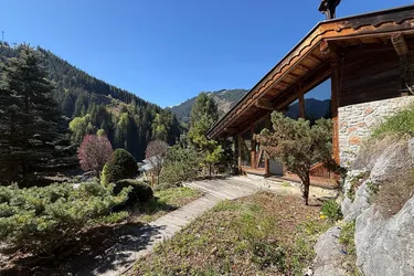 Ferienhaus - Zweitwohnsitz in Viehhofen in Pistennähe zum Skigebiet Saalbach Zell am See