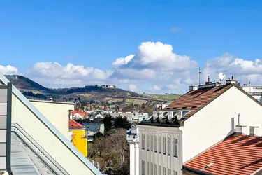 Sonnige Terrassen-Maisonette mit herrlichem Ausblick