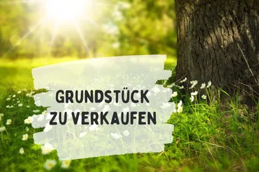 Großzügiges Baugrundstück Nähe Stadtzentrum Feldbach – Grundstücksteilung möglich