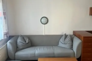Möblierte Wohnung: 1 Zimmer, Küche-Essen-Wohnen auf 46,52m²