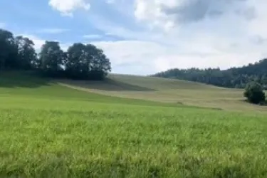 Fünf traumhafte, vollaufgeschlossene Grundstücke mit einem umwerfenden Panoramablick in Latschach am Magdalensberg