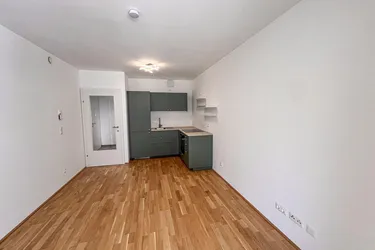 Wohlfühlfaktor garantiert – 2-Zimmer-Wohnung mit Charme! Lend Graz / Neubau