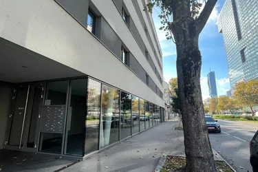 Ruhige Gartenwohnung in der Nähe der Alten Donau