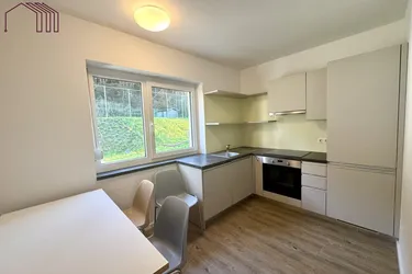 ALLGEMEINGARTEN : Helle 4-Zimmer-Wohnung mit 4 Balkonen und großzügigem Allgemeingarten