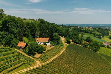 Alleinlage, Weinberge, Weitblick und Idylle – Ihr Rückzugsort am Graßnitzberg!