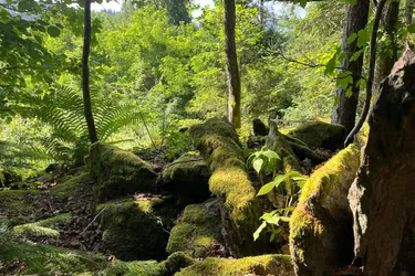 Naturjuwel mit Baugrund im Landschaftsschutzgebiet "Moosburger Teichlandschaft"