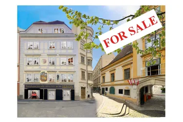 935m² Stadtpalais for sale in Schönlaterngasse 6, 1010 Vienna. Living working and leisure. Antique elevator, high-end luxury. 2 parking spaces, home cinema, spa, gym, high and bright rooms. 