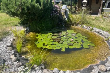 Wohnung mit alleiniger Nutzungsmöglichkeit einer ca. 600 m² großen Gartenfläche!
