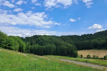 Die eigene Ranch auf 9,2ha Grund und Wald verwirklichen (Provisionsfrei)
