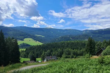 Lust auf Alm? 3 Hebalm Grundstücke mit 4 bewilligten Ferienhäuser (Provisionsfrei)