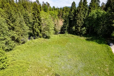 Traumhafter Grund in idyllischer Lage - ideal zur Errichtung eines Eigenheims - rd. 6000 m² Grund mit Punktwidmung in Maria Saal, Kärnten