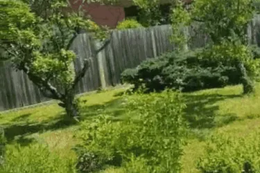 Wunderschönes ebenes Grundstück im Tullnerfeld