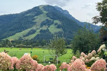 Wohnen, wo andere Urlaub machen - 4 Zimmer-Gartenwohnung mit großer Terrasse in Kössen