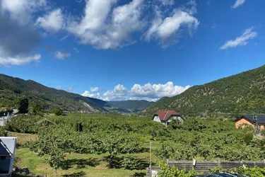 Profitables Investment: Gastgewerbe, Gastronomie und Wohnungen in Aggsbach - Niederösterreich